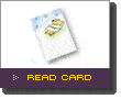 Bear Card Icon